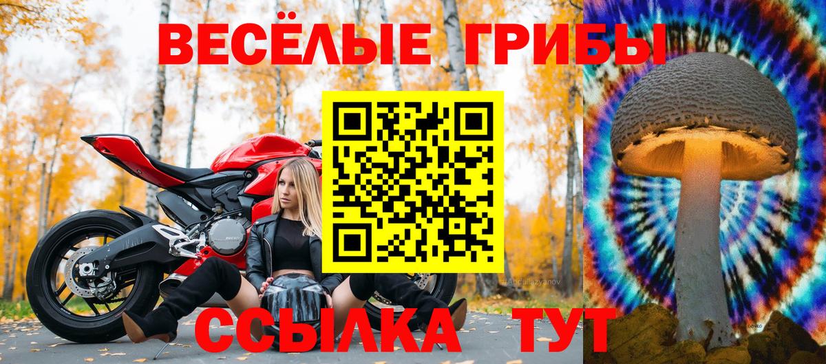 Галлюциногенные грибы ЛСД  Вход с VPN  Туймазы 